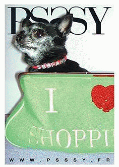 miss fachion tres za3ra